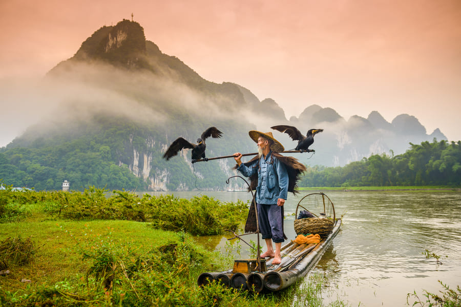 un pescador cormoran